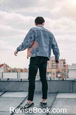Denim Jacket 33